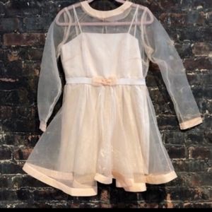 ASOS Pink Tulle Kawaii Princess Sheer Dress 6